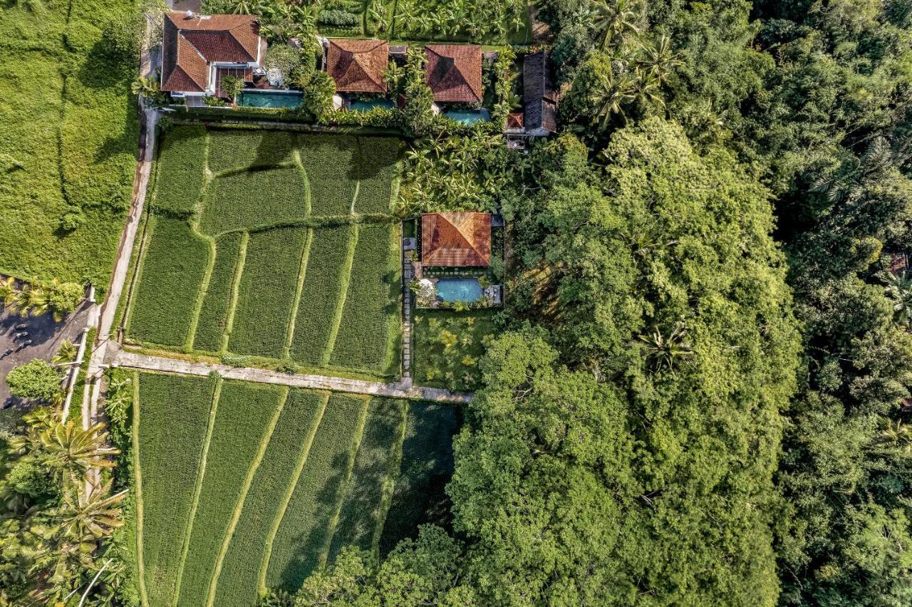 Ratni Ubud Villa Zewnętrze zdjęcie